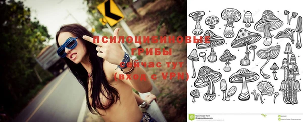 СК Тихвин