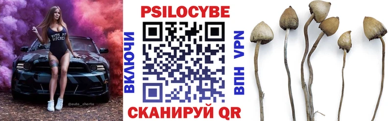 Псилоцибиновые грибы GOLDEN TEACHER  Электросталь 