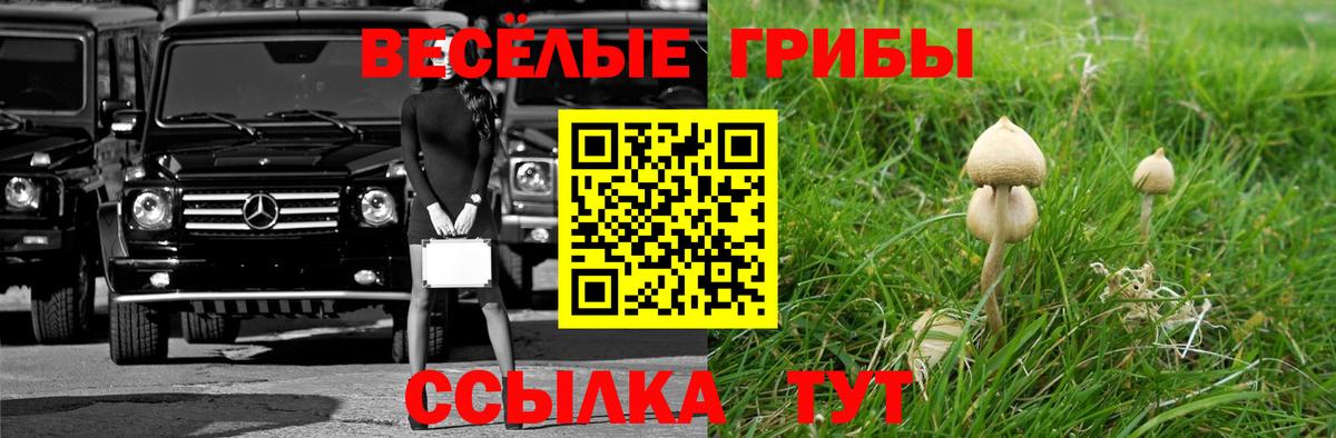 Псилоцибиновые грибы GOLDEN TEACHER Электросталь