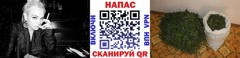Бошки марихуана ГИДРОПОН Электросталь
